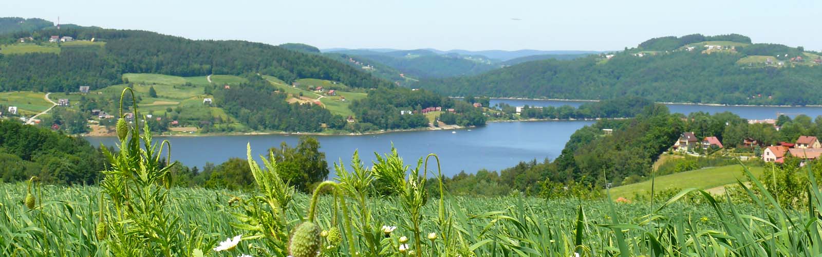 Gmina Gródek nad Dunajcem