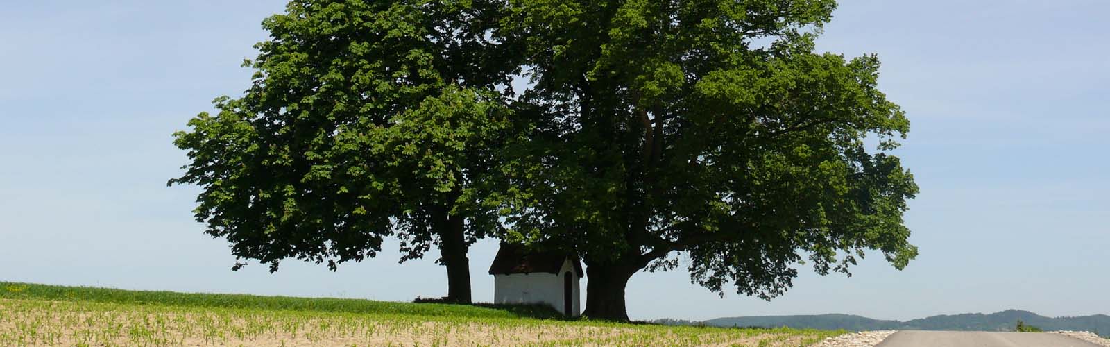 Gmina Gródek nad Dunajcem